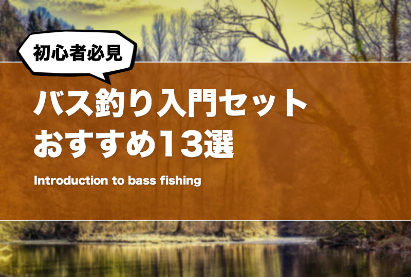 2700円 【SALE／98%OFF】 釣りセット バス釣りを始める方 釣り初心者