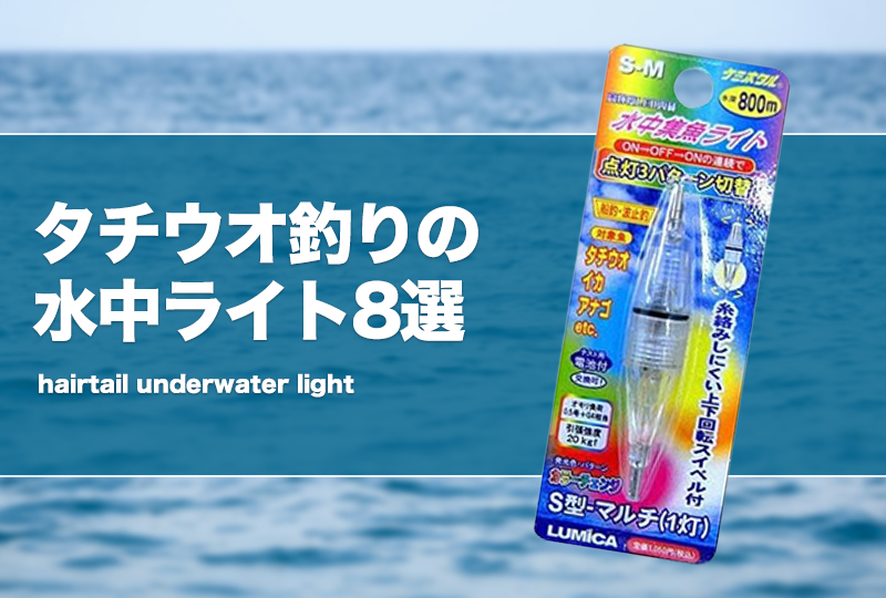 素晴らしい価格 魚眼型集魚灯 LED集魚灯 水中ライト 高輝度 フィッシュライト
